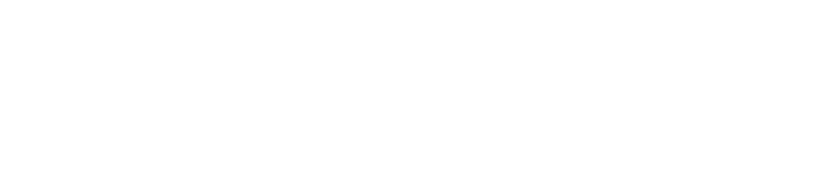 Logo CONNEXIT Blanc mpag partenaire securite