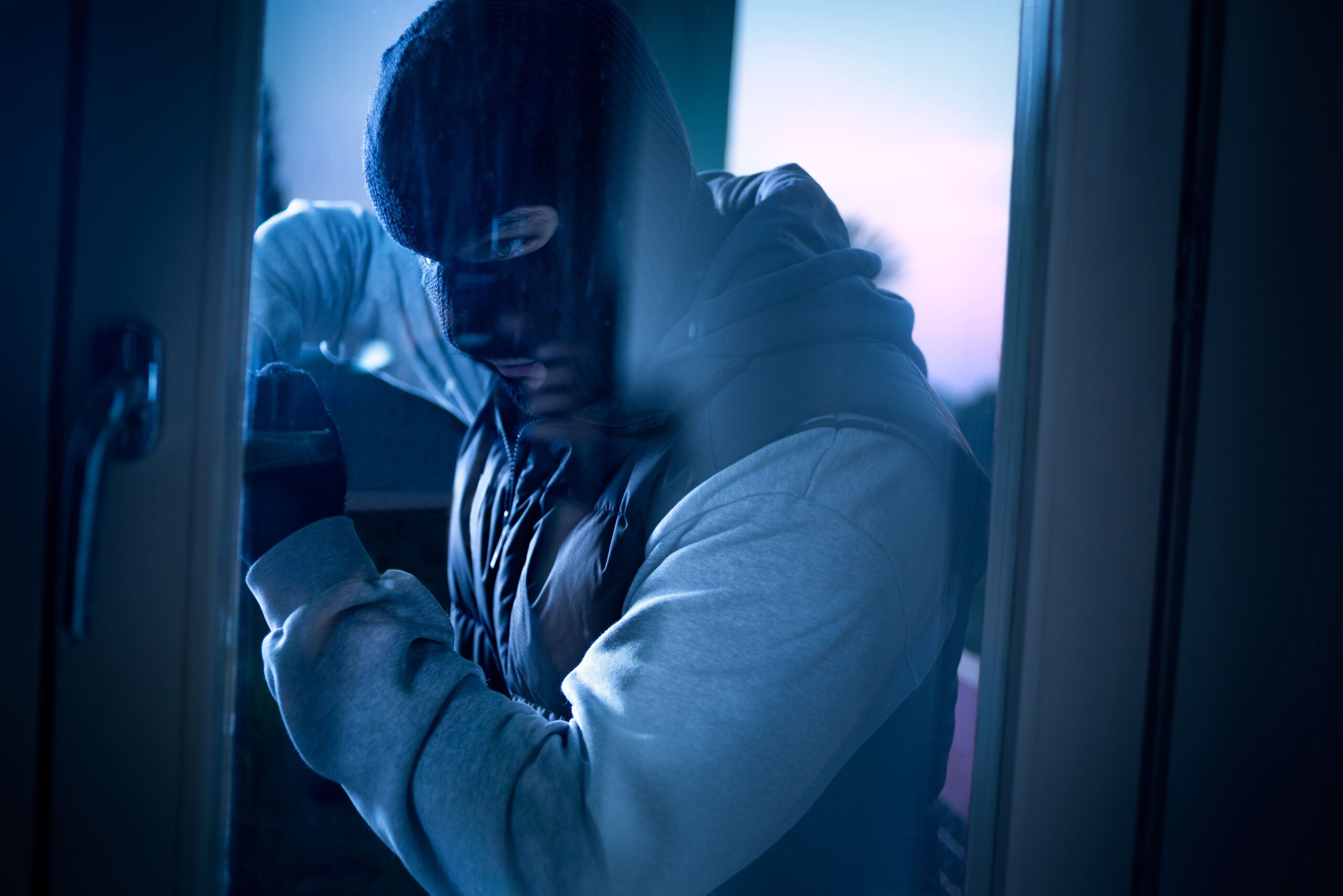 Videosurveillance couplee a un systeme anti-intrusion